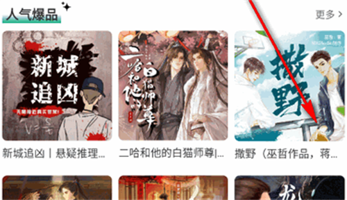 小梨听书纯净版