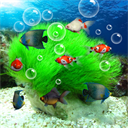 水族馆动态壁纸TV安卓版v5.6.3