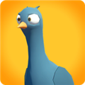 鸽子袭击游戏下载 v1.3.1